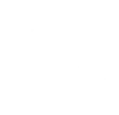 The Stratton Group